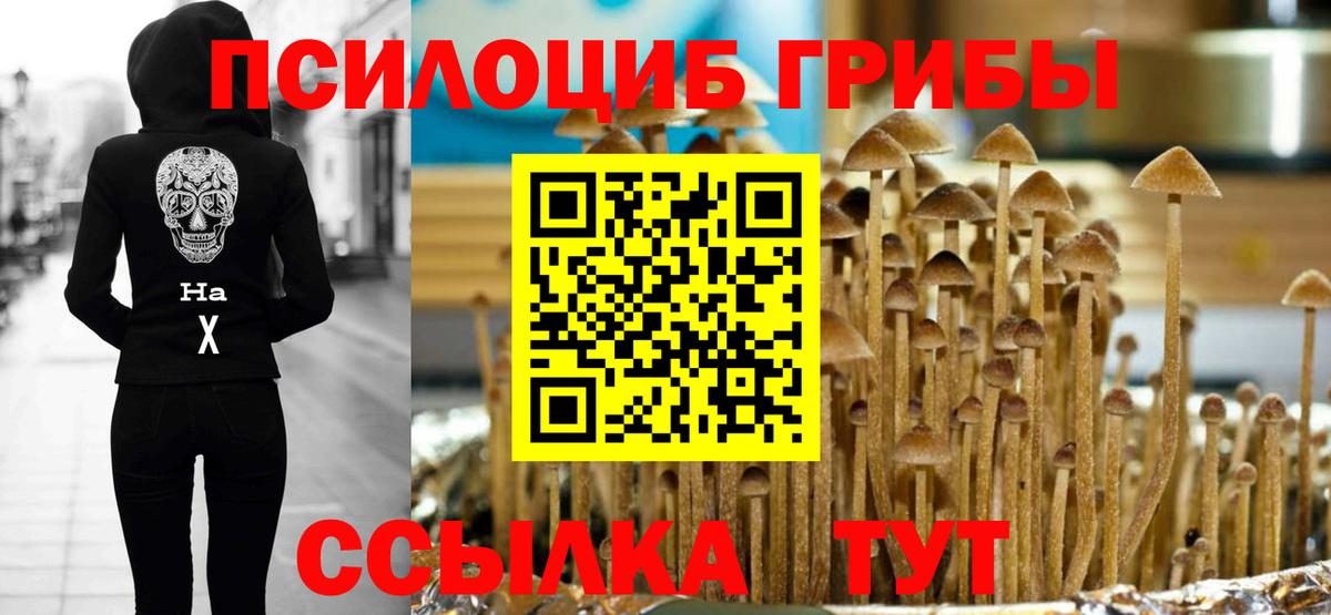 Ишимбай  Галлюциногенные грибы мицелий  Псилоцибиновые грибы мухоморы  Вход с VPN 